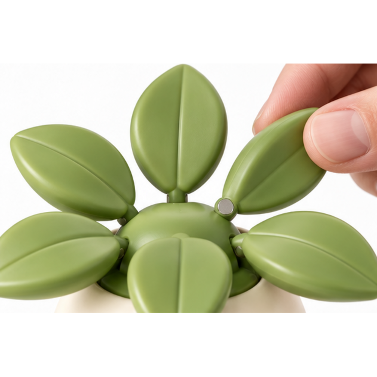 Monday Reset Sprout